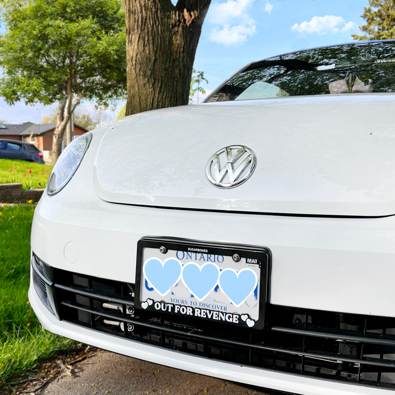 Out For Revenge License Plate Frames